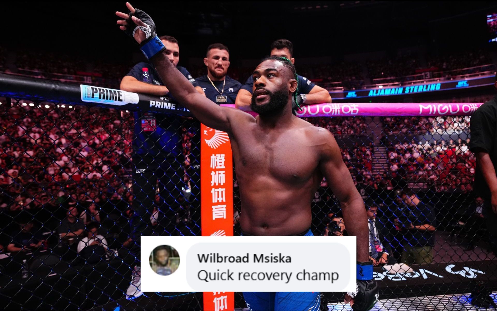 Fans react to Aljamain Sterling