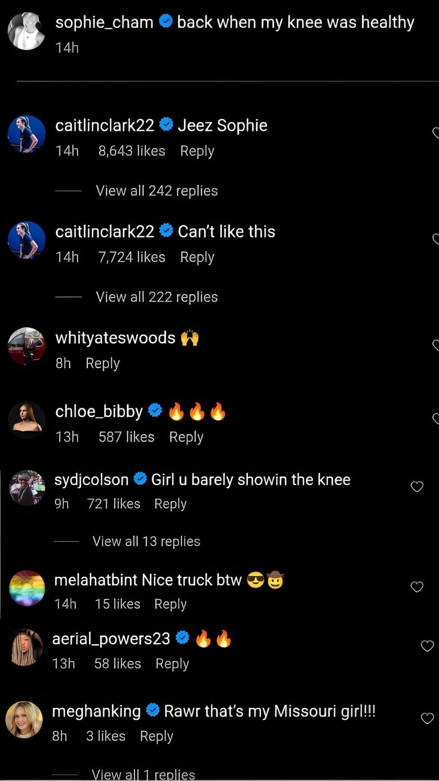 Comments on Sophie Cunningham&#039;s post (image credit: instagram/sophie_cham)