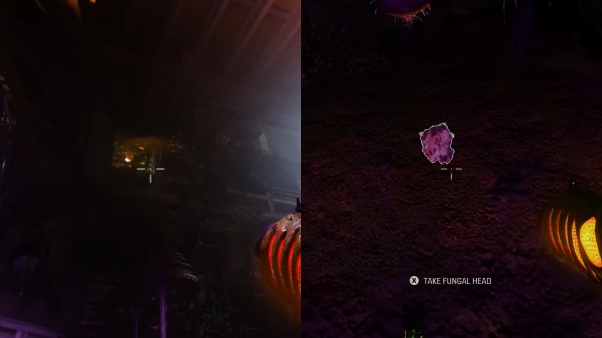 Collect the Fungal Head in Black Ops 6 Zombies Reckoning (Image via Activision || YouTube/@CodeNamePizza)