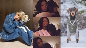 "Stealing dog's records as well?": BTS' Jungkook's fans slam Vogue for calling BLACKPINK's Rosé's Hank the "most-followed" pet over Bam
