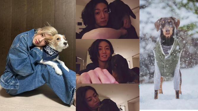 "Stealing dog's records as well?": BTS' Jungkook's fans slam Vogue for calling BLACKPINK's Rosé's Hank the "most-followed" pet over Bam