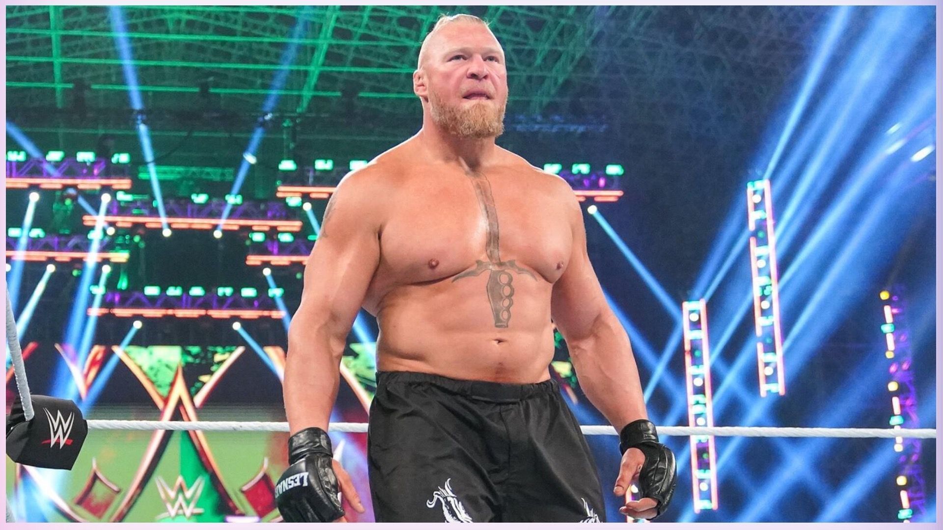 Brock Lesnar didn