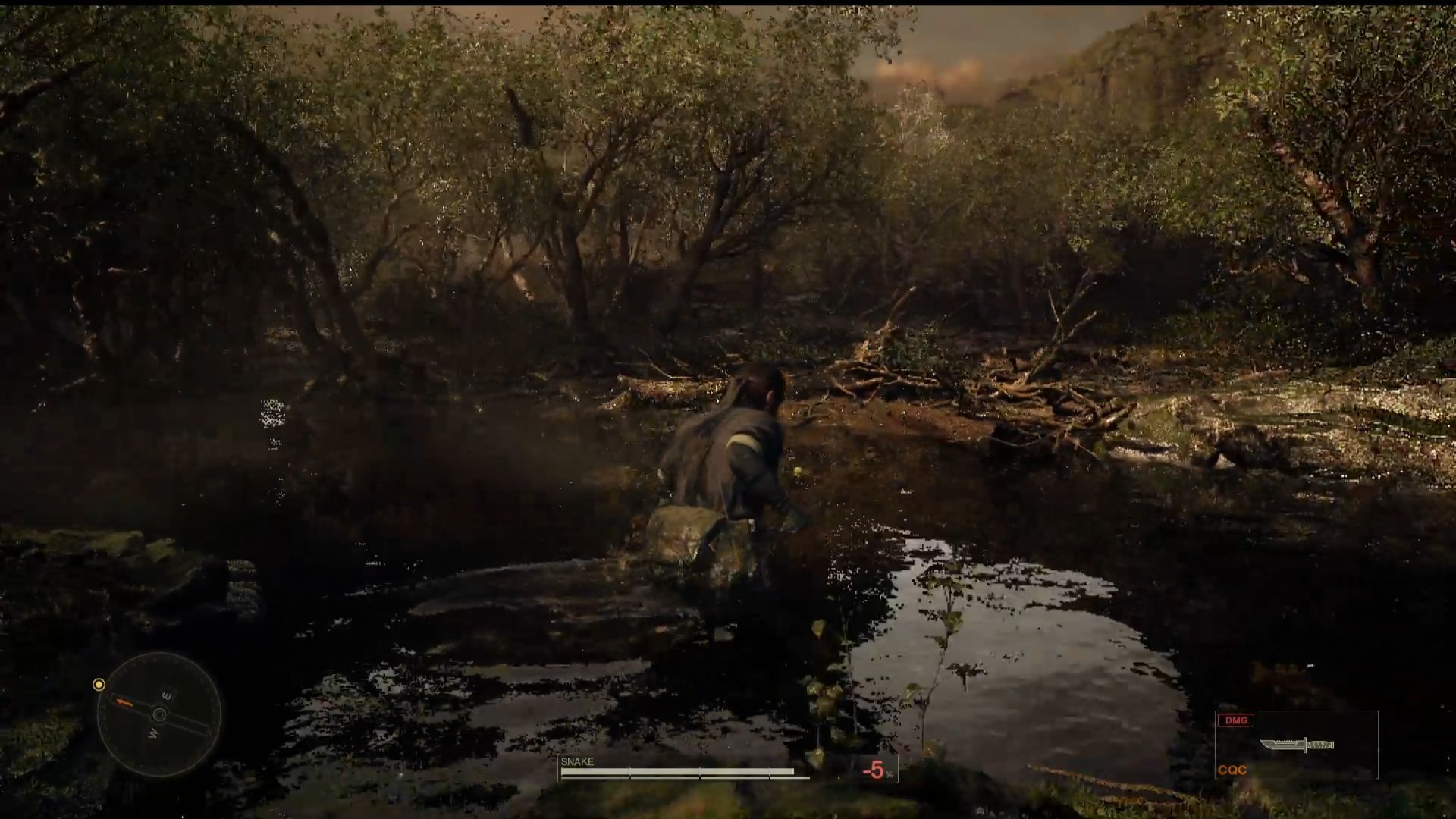 Mangrove area outside the Caves leads to a small Canyon (Image via KONAMI)