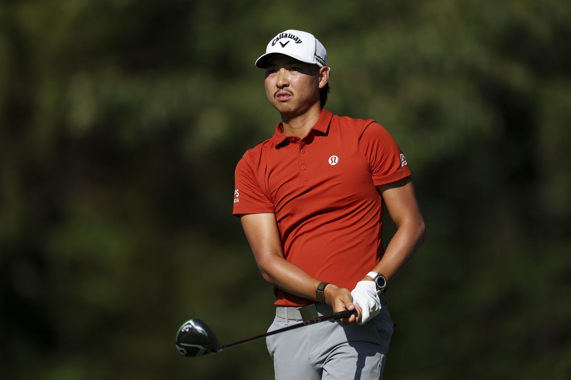 FedEx St. Jude Championship 2025 - Round One - Source: Getty