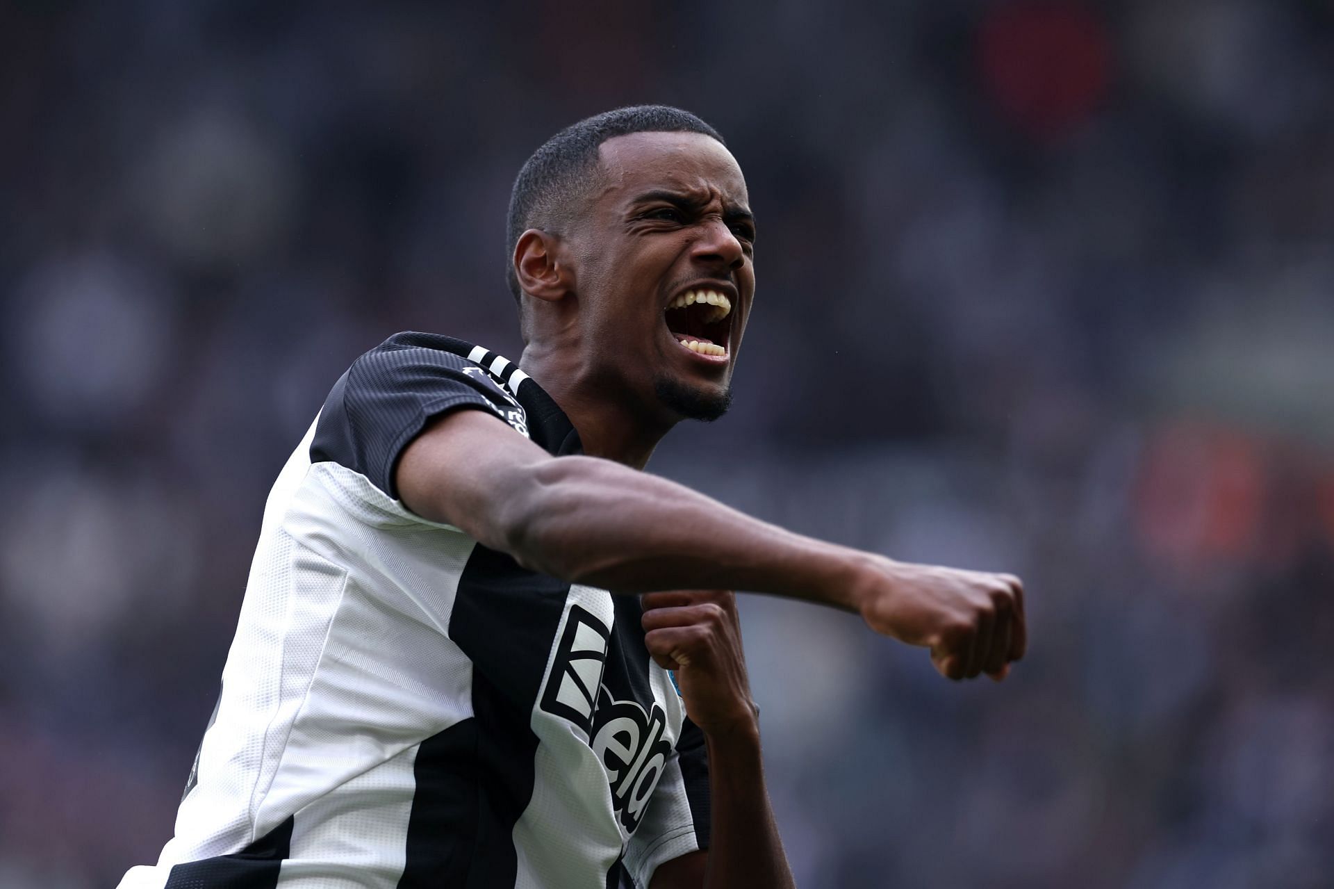 Newcastle United FC v Ipswich Town FC - Premier League - Source: Getty
