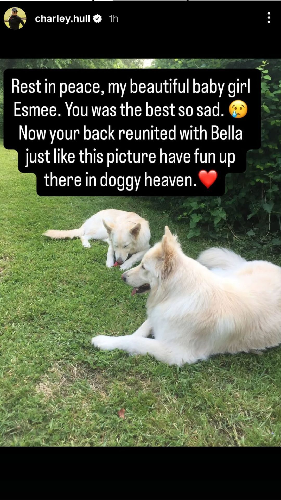 Screenshot of Charley Hull&#039;s Instagram story - Source - via @charley.hull on Instagram