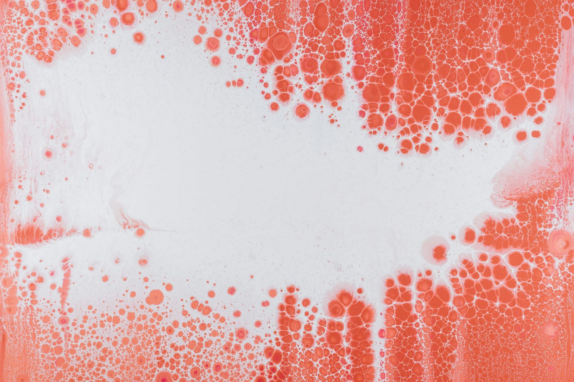A blood trail suggested she had been dragged out from the bedroom (Image via Unsplash)