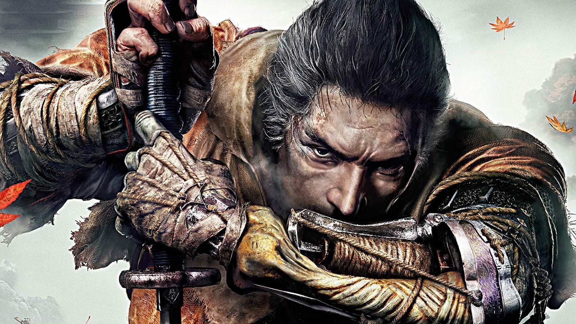 Sekiro anime could be out sooner than fans expect