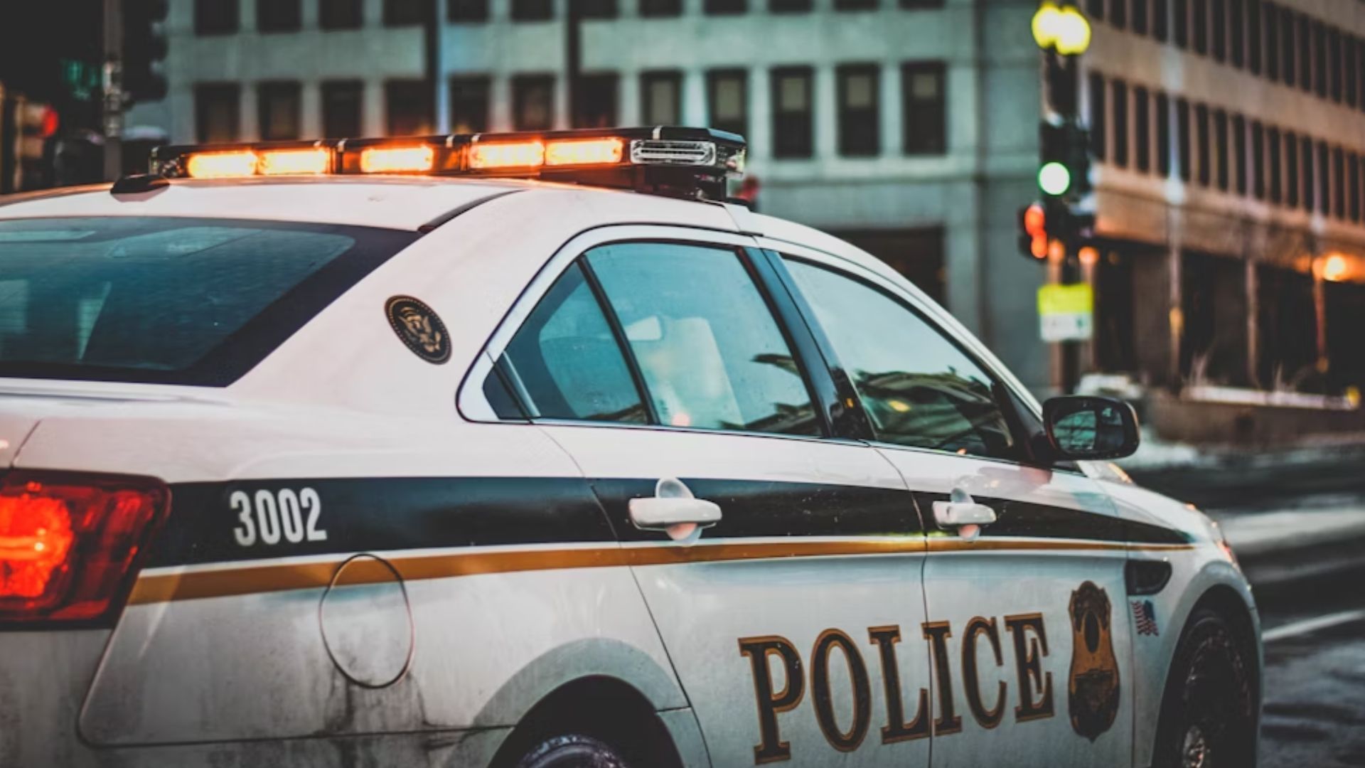 The search for Donna&rsquo;s remains (Image via Unsplash)