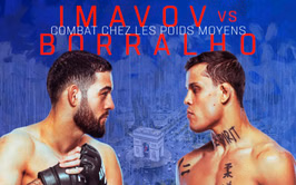UFC Predictions: UFC Fight Night: Nassourdine Imavov vs. Caio Borralho