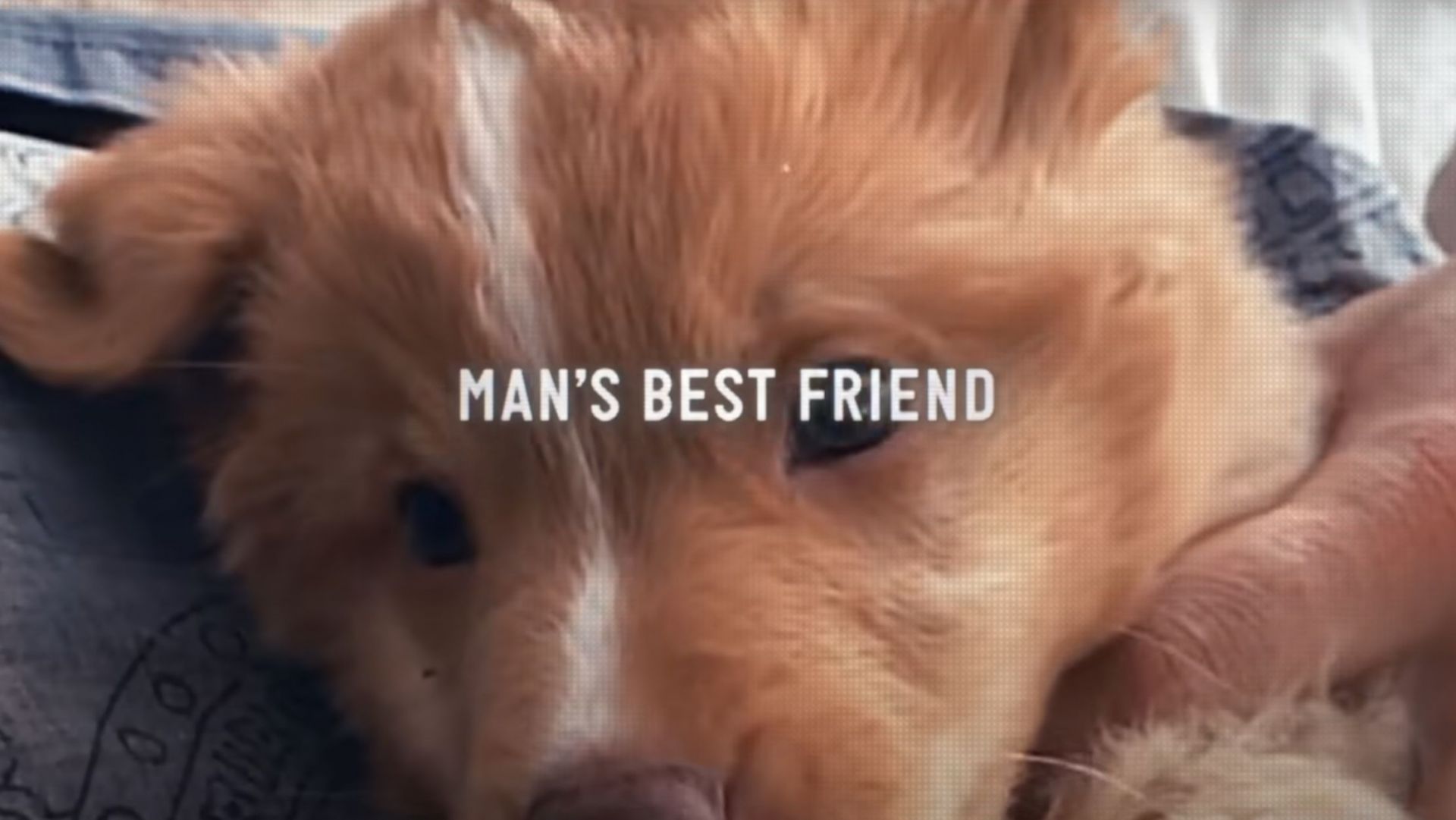 A still from the film&#039;s trailer (Image via YouTube/IFC Films)