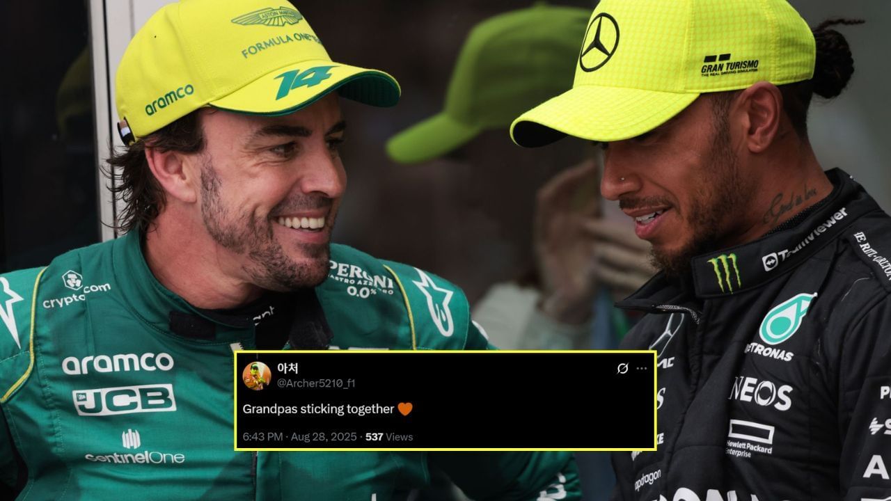 In Picture: Fernando Alonso and Lewis Hamilton (during his Mercedes days). Credit: Getty Images. Fan reaction by: x.com/Archer5210_f1