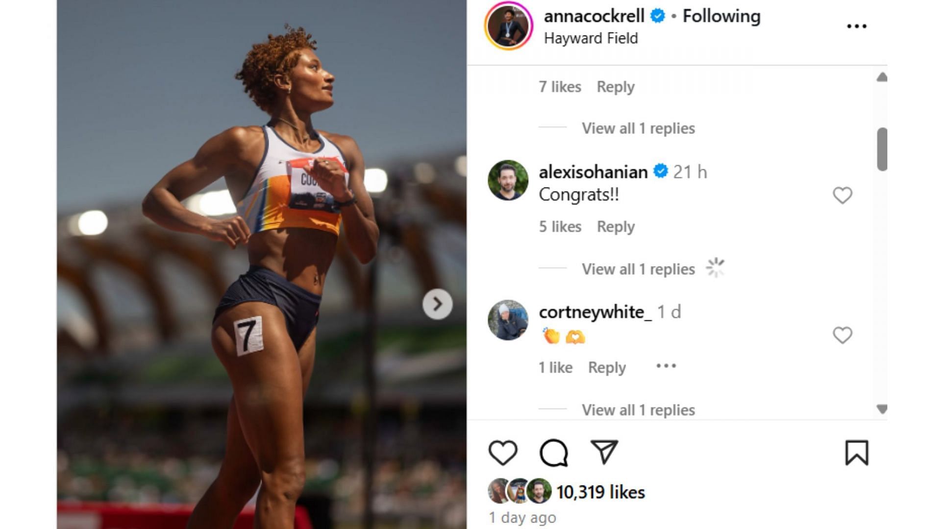Screenshot of comment (IG/@annacockrell)