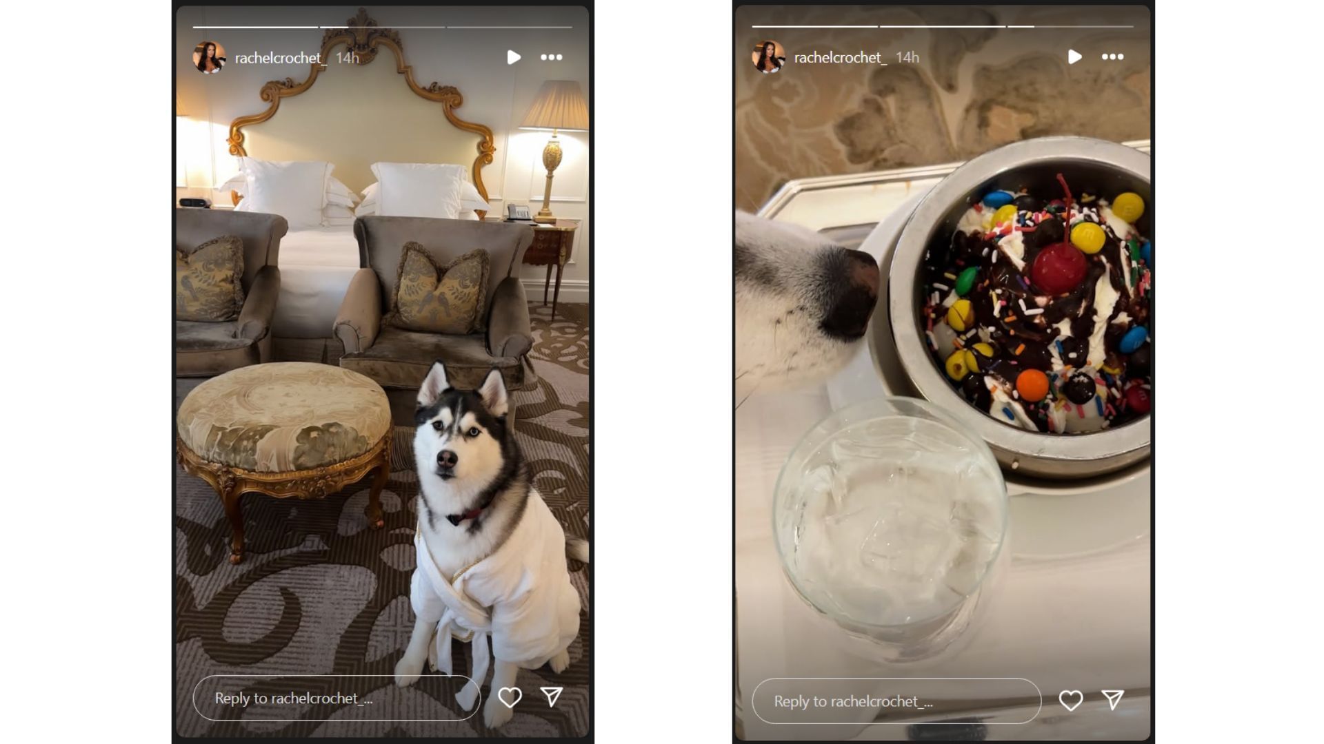 Garrett Crochet and wife Rachel&#039;s pet dog Moose embracing the New York lifestyle (Source: Instagram @rachelcrochet_)