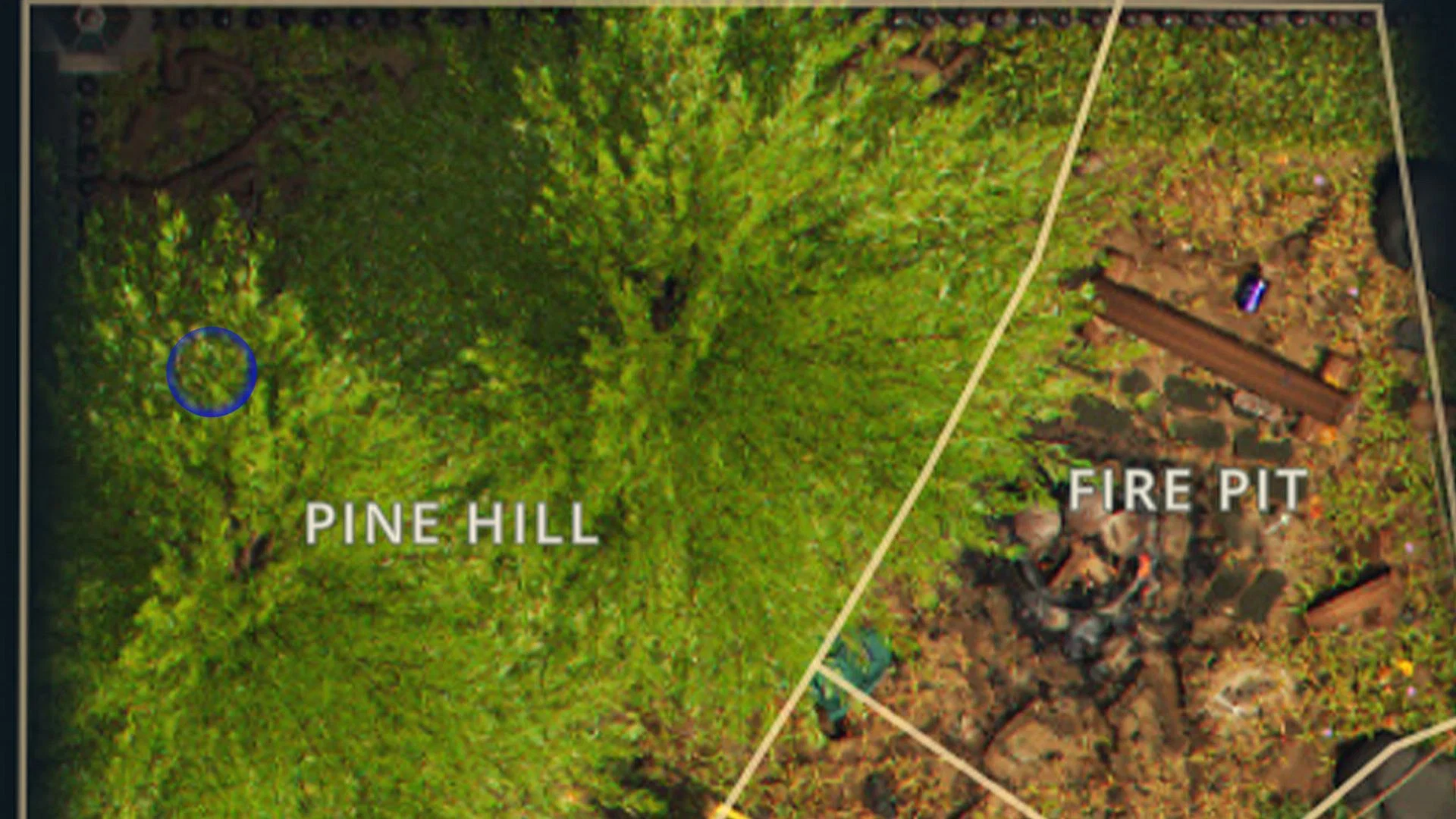 There&#039;s only one Mega Milk Molar to collect in the Pine Hill beyond the picnic table (Image via Obsidian Entertainment)