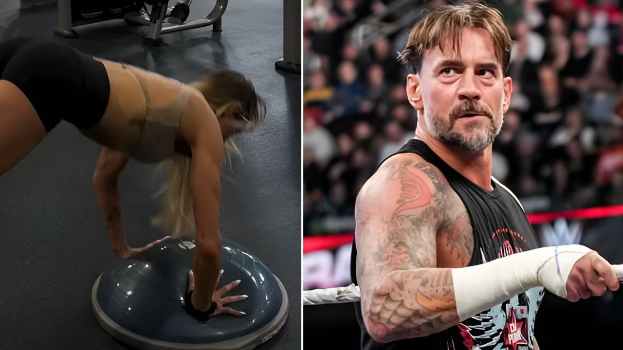 CM Punk defends 39-year-old female star from "hardcore wrestling fans"