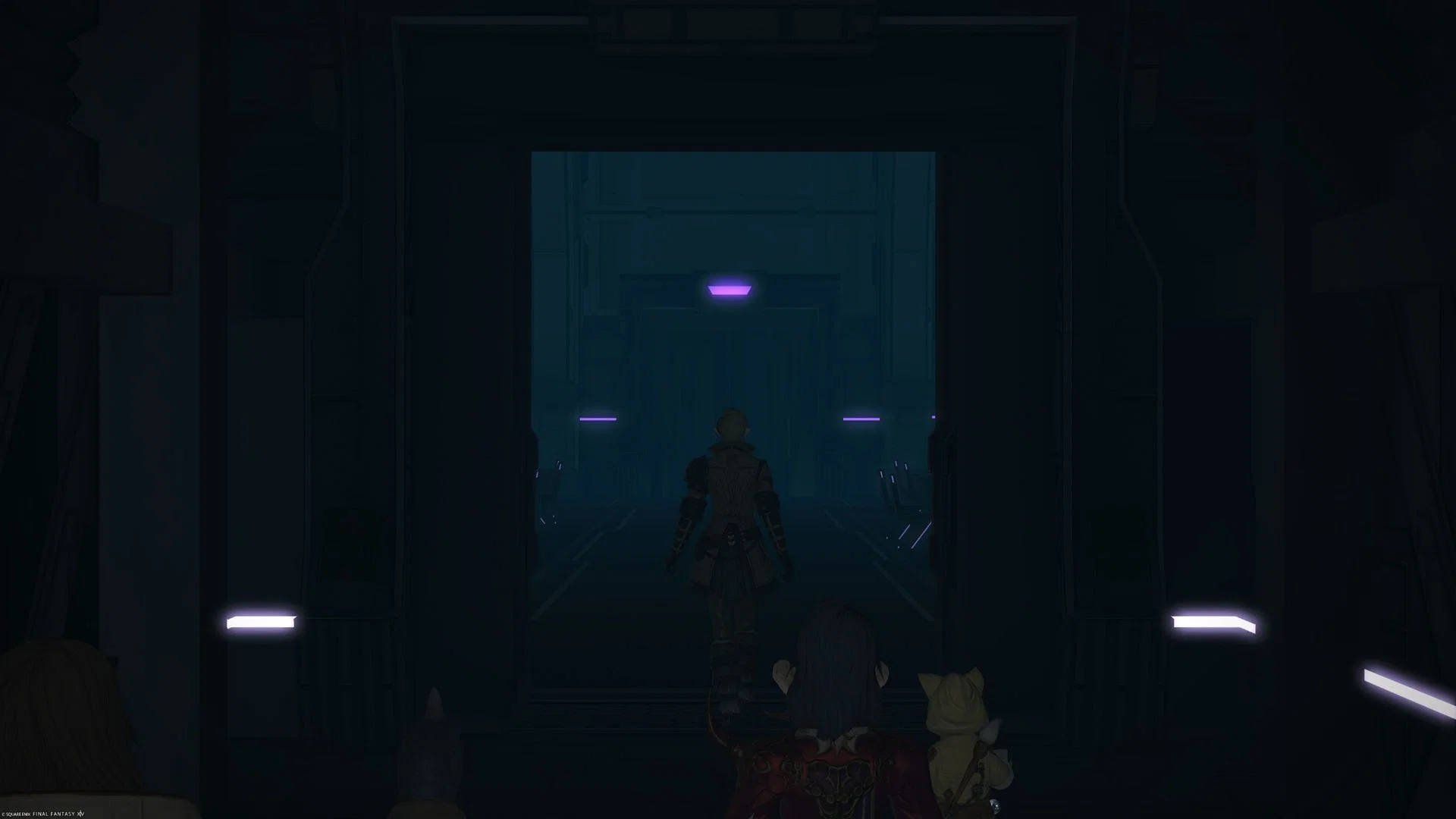 Final Fantasy XIV Preservation Their Purpose