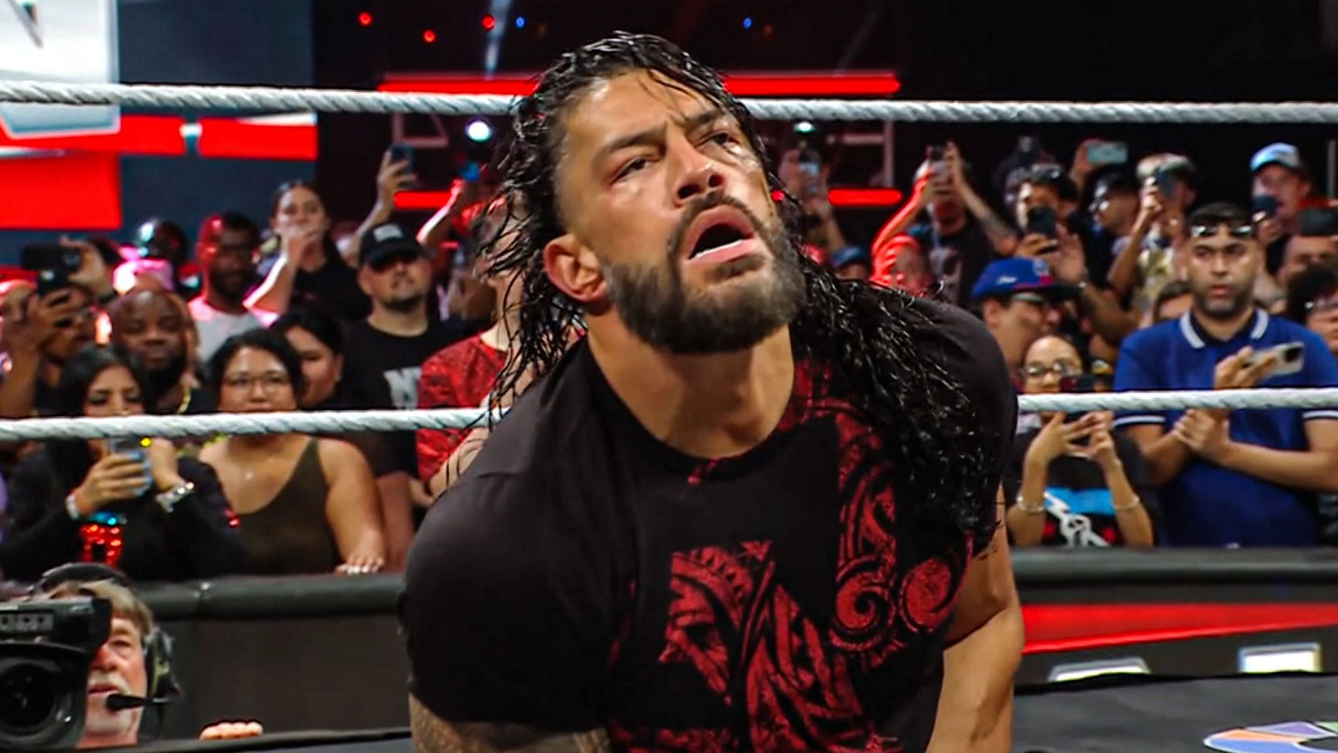 Roman Reigns is Undisputed Tribal Chief! (Credits: Netflix)