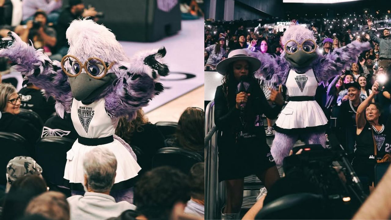 &quot;We need a Violet x Ellie collab&quot;: WNBA fans react as Valkyries reveal their official team mascot 