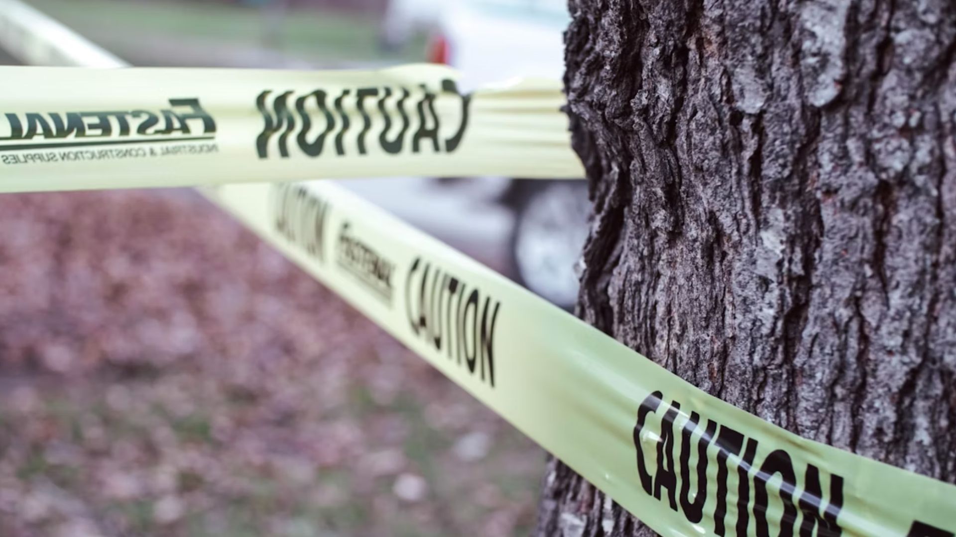 Some facts of the Harper Family murder case (Image via Unsplash)