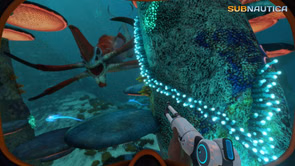 Where to find Silver Ore in Subnautica