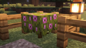 5 best Minecraft 1.21.8 shaders