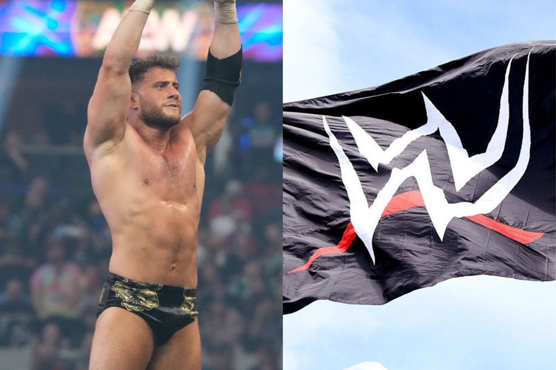 AEW WWE