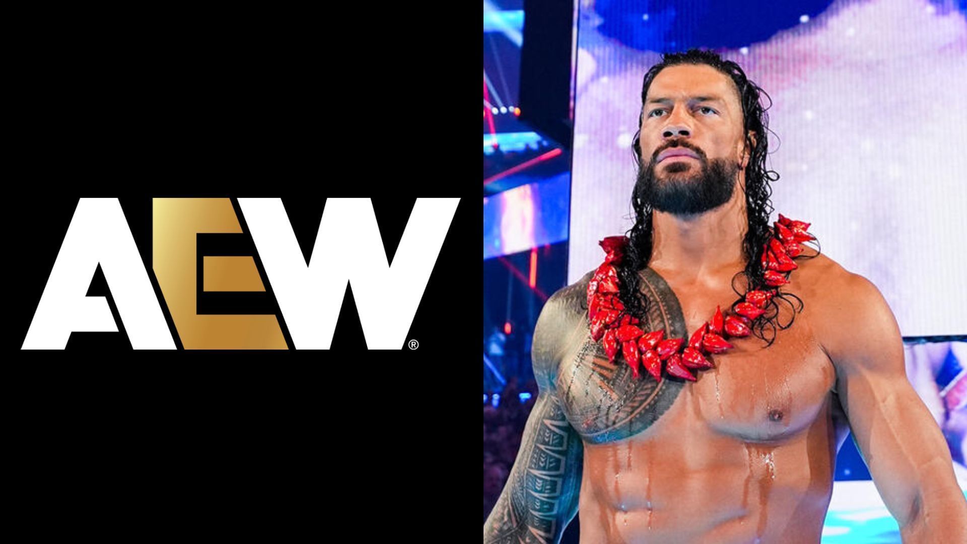 Roman Reigns had a WWE world title reign of 1316 days [photo: wwe.com]