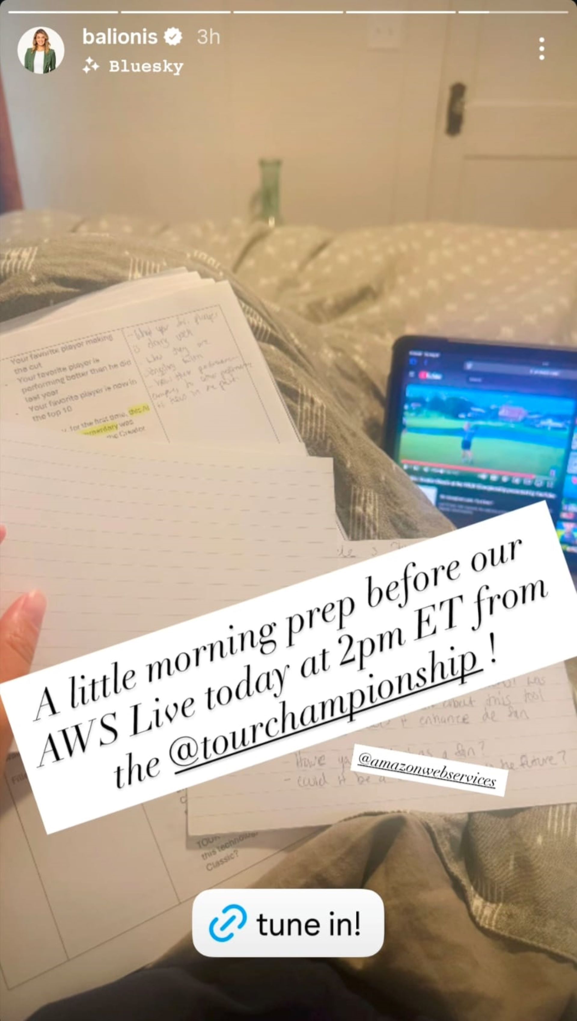 Screenshot of Amanda Balionis&#039; Instagram story (via @balionis)