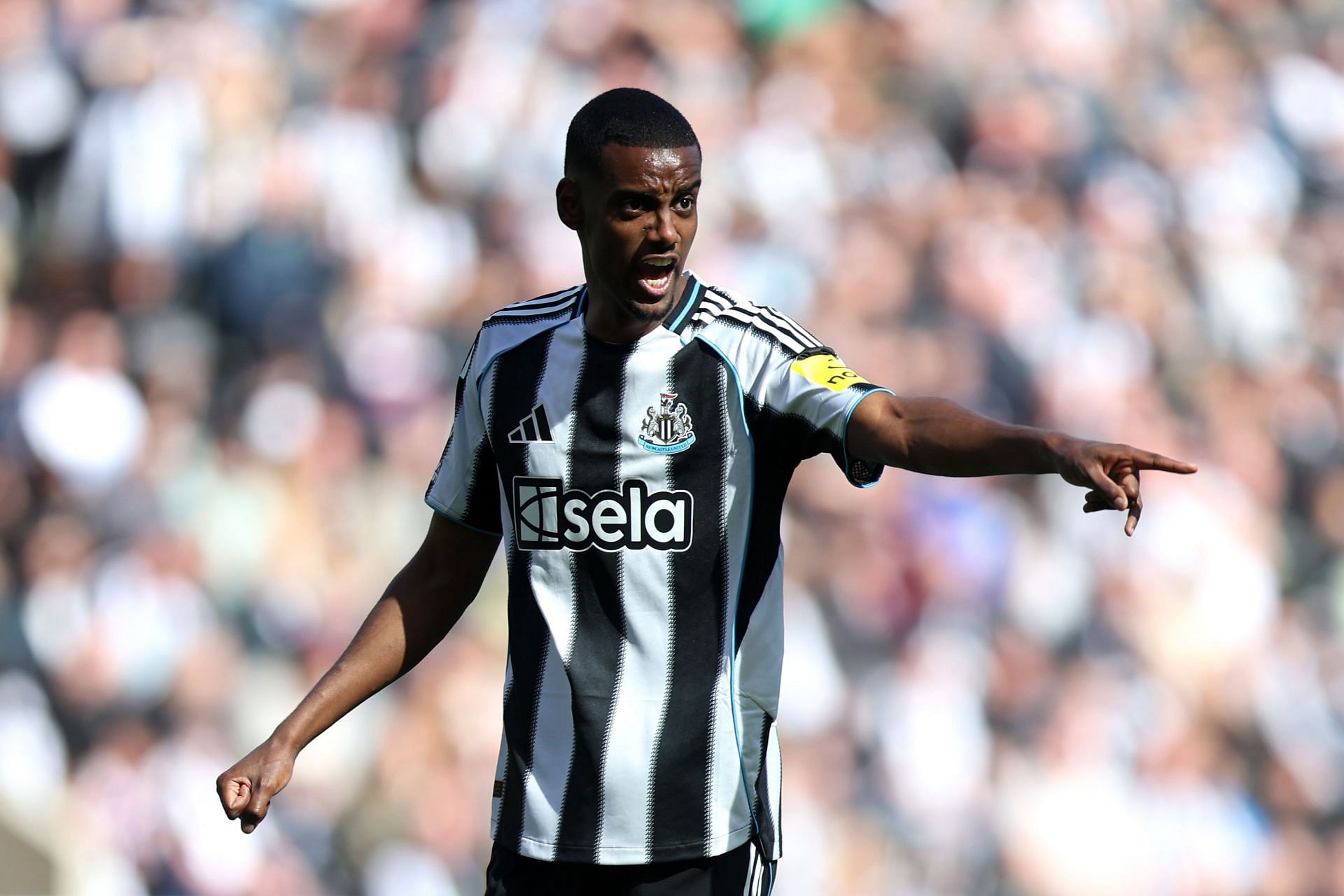 Newcastle United FC v Everton FC - Premier League - Source: Getty