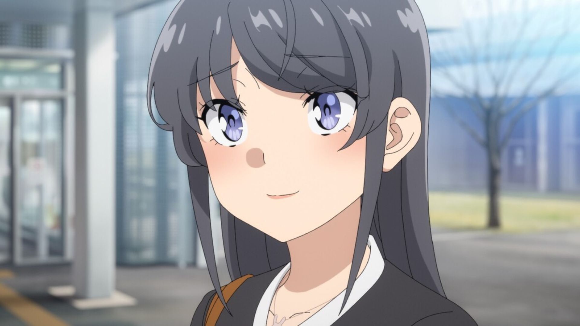 Mai, as seen in Rascal Does Not Dream of Santa Claus episode 8 (Image via Studio CloverWorks)