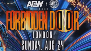 AEW's Massive Backstage Plans for Former WWE Stars at Forbidden Door Revealed - Reports