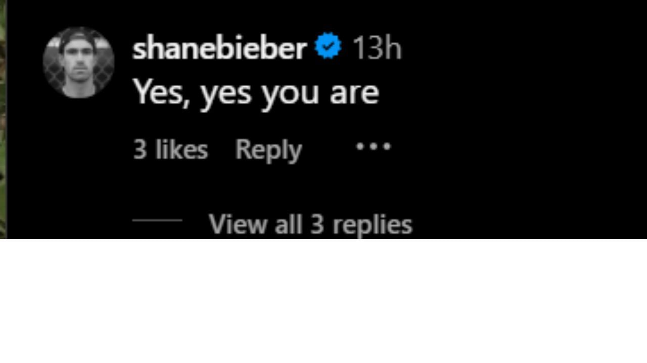 Comments section