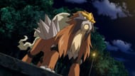 Entei as seen in the anime (Image via The Pokemon Company)