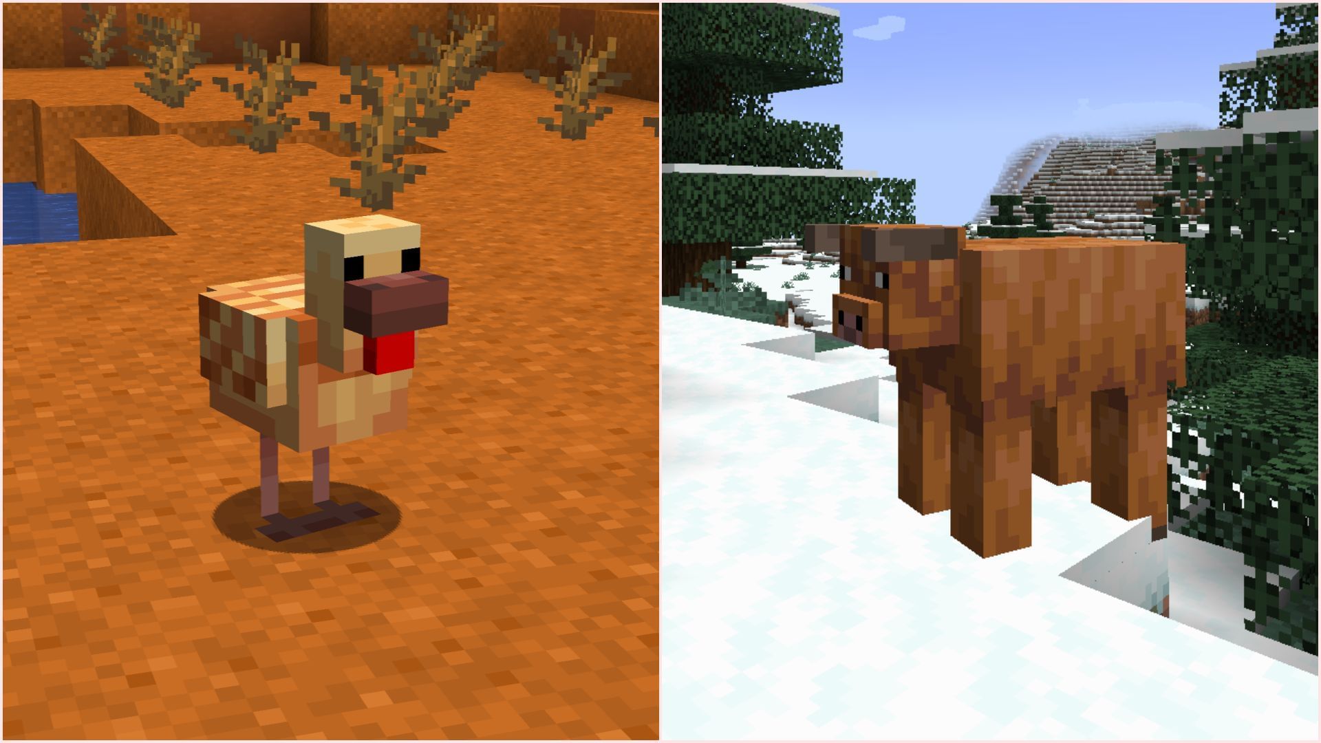 Mojang added new warm and cold variants for pigs, cows, and chickens (Image via Sportskeeda Gaming || Mojang Studios)