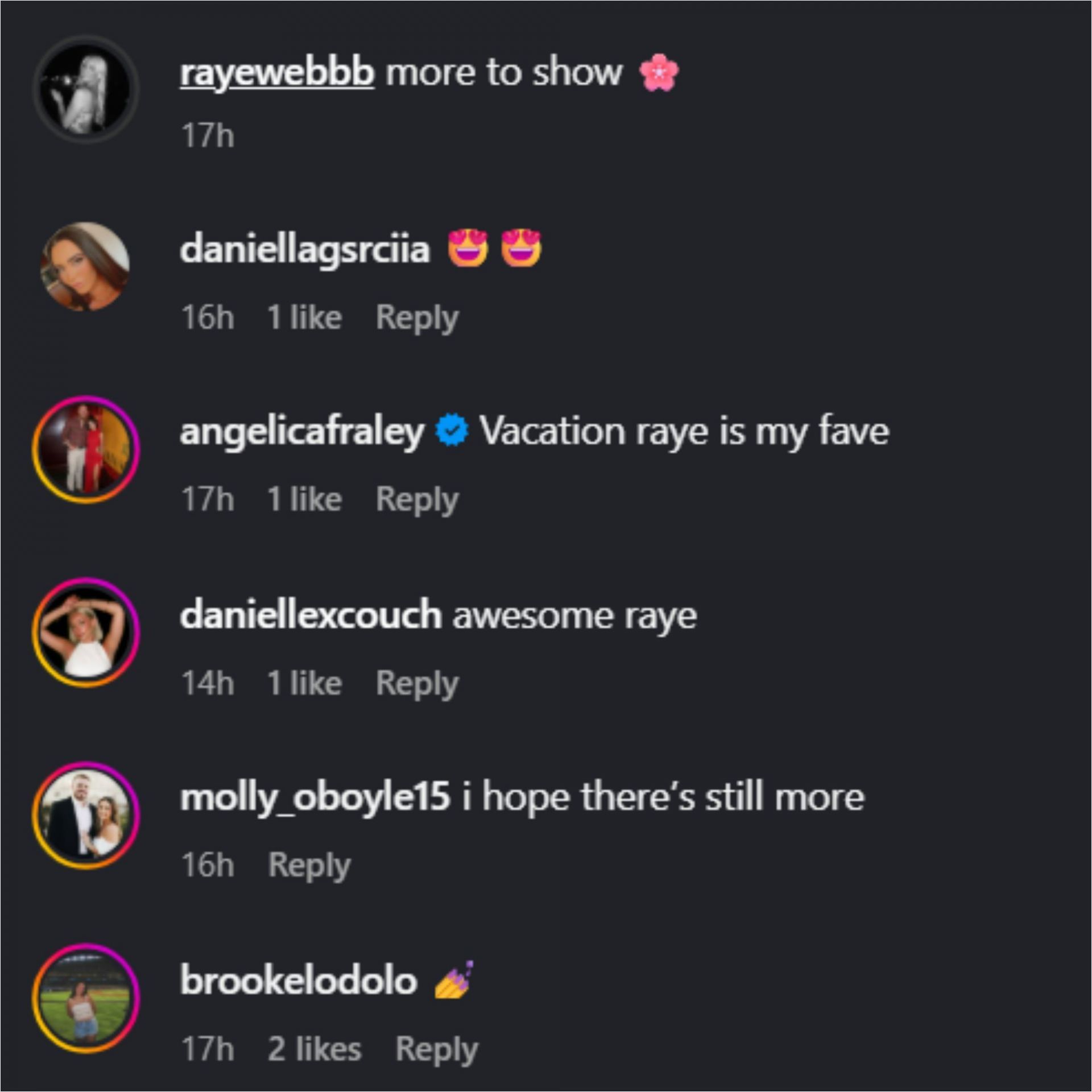 Screenshot of comments [Source: Instagram/rayewebbb]