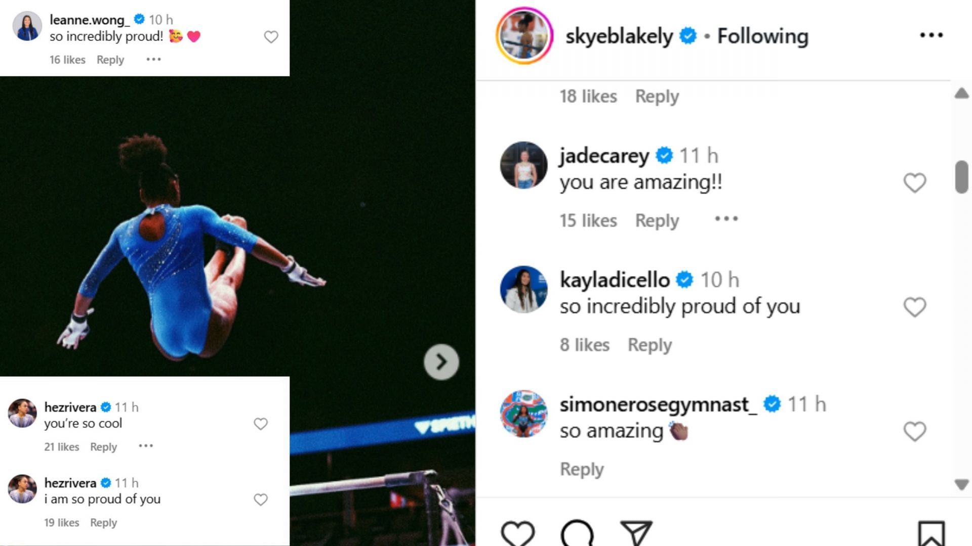 Screenshot of comments (IG/@skyeblakely)