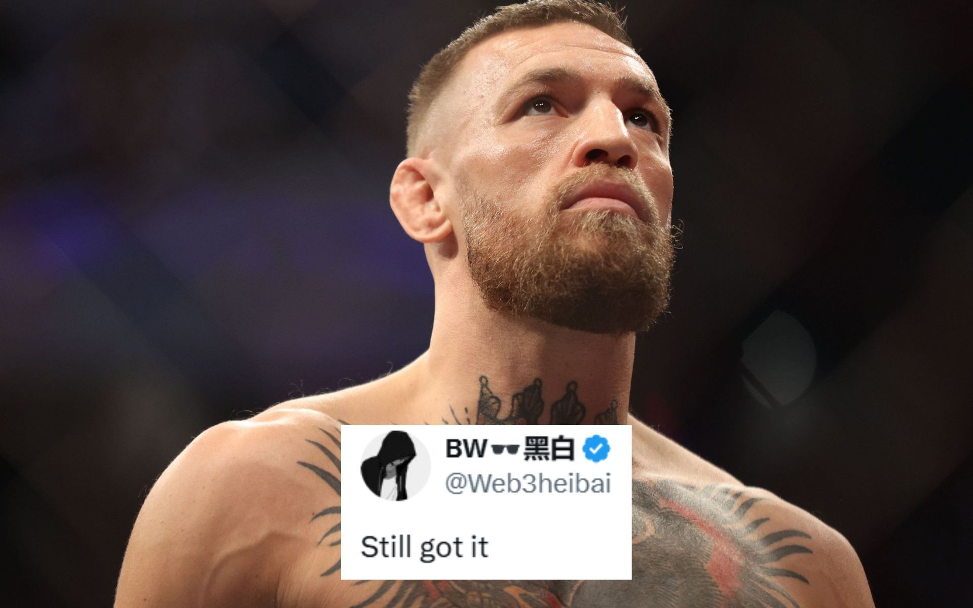 Fans react to Conor McGregor
