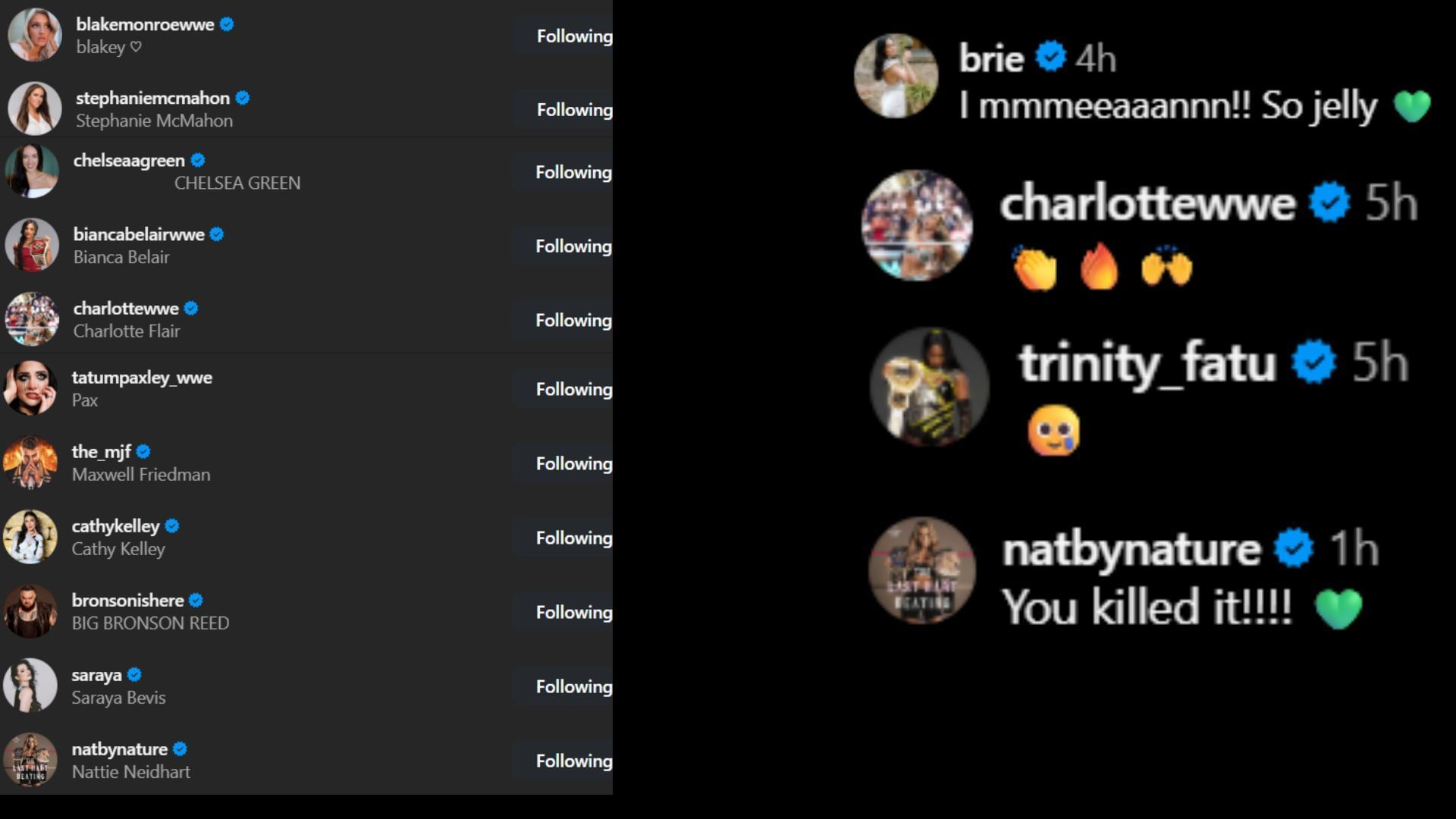 Screenshots of stars&#039; likes and comments [Image credit: Nikki Bella&#039;s Instagram]