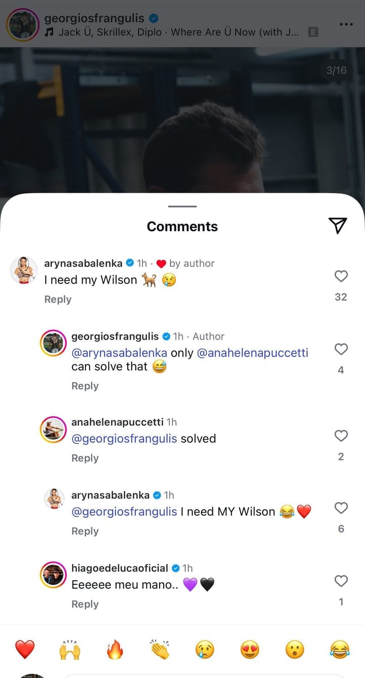 Curated visual reference: Visual Reference: Aryna Sabalenka Shows Love For Rescue Dog She Met At