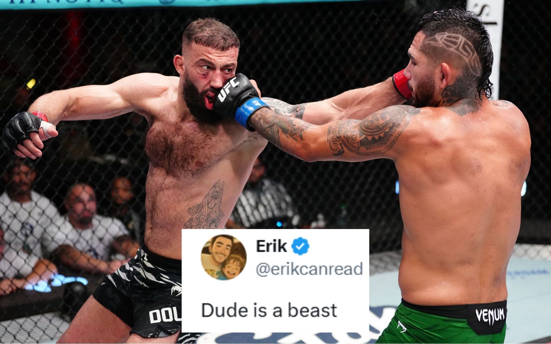 Fans react to Anthony Hernandez
