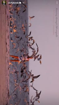 Screenshot of Nelly Korda's Instagram story - Source - via @nellykorda on Instagram