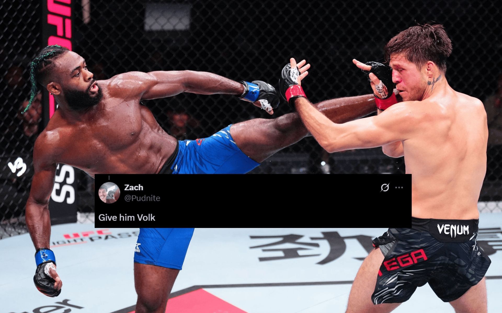 Fans react to Aljamain Sterling