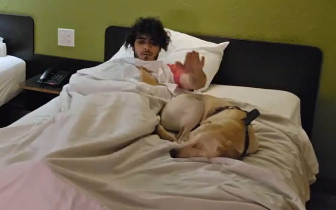 "I will f**king kill you right now!": Video of streamer talking about "snapping" his dog's neck goes viral, netizens accuse him of animal abuse