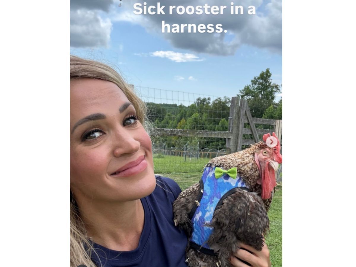Carrie with her rooster (Image via Instagram/@carrieunderwoodfanhub)