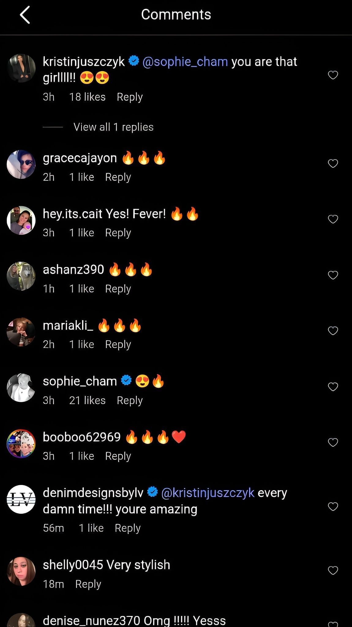 Kristin&#039;s comment on the post (image credit: instagram/offseasonbrand)