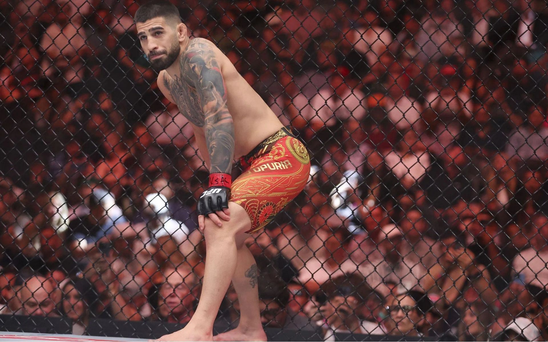 MMA figure talks about a potential fight between Ilia Topuria and Arman Tsarukyan. [Image courtesy: Getty]