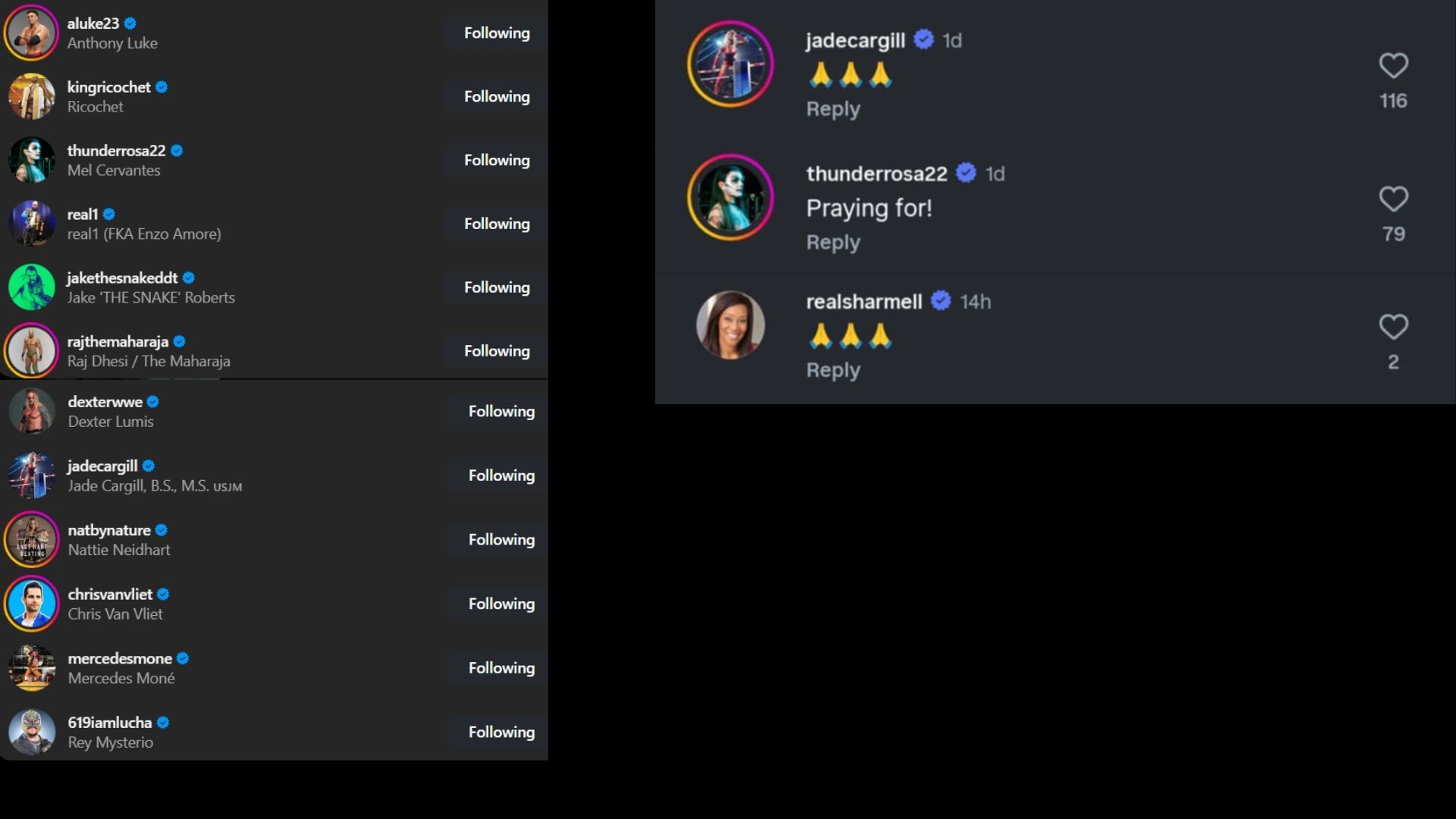 Screenshots of stars&#039; likes and comments [Image credit: DDP&#039;s Instagram]