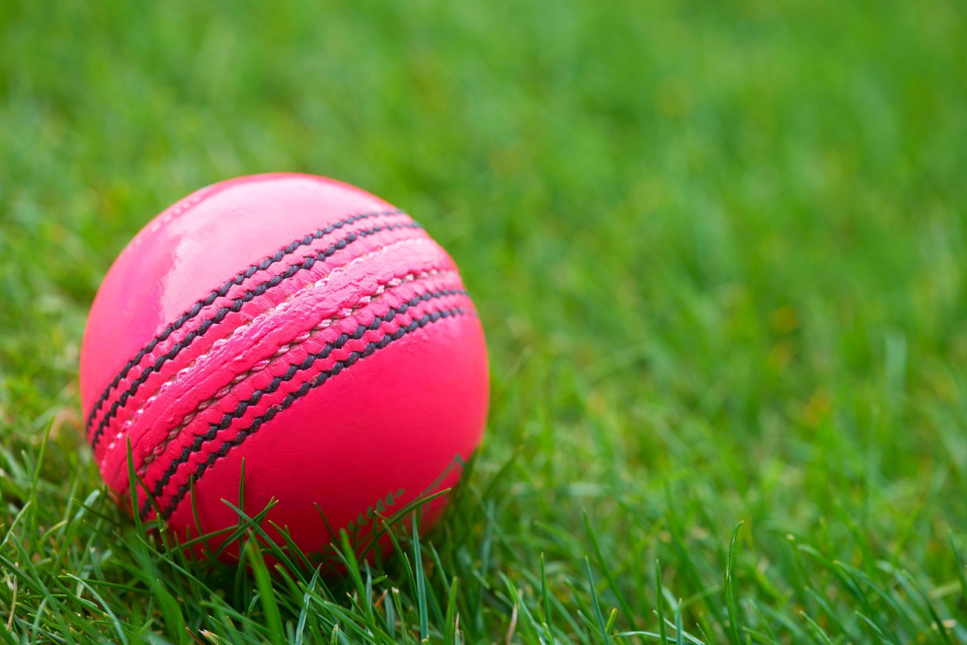 Pink Cricket Ball on Grass - Source: Getty