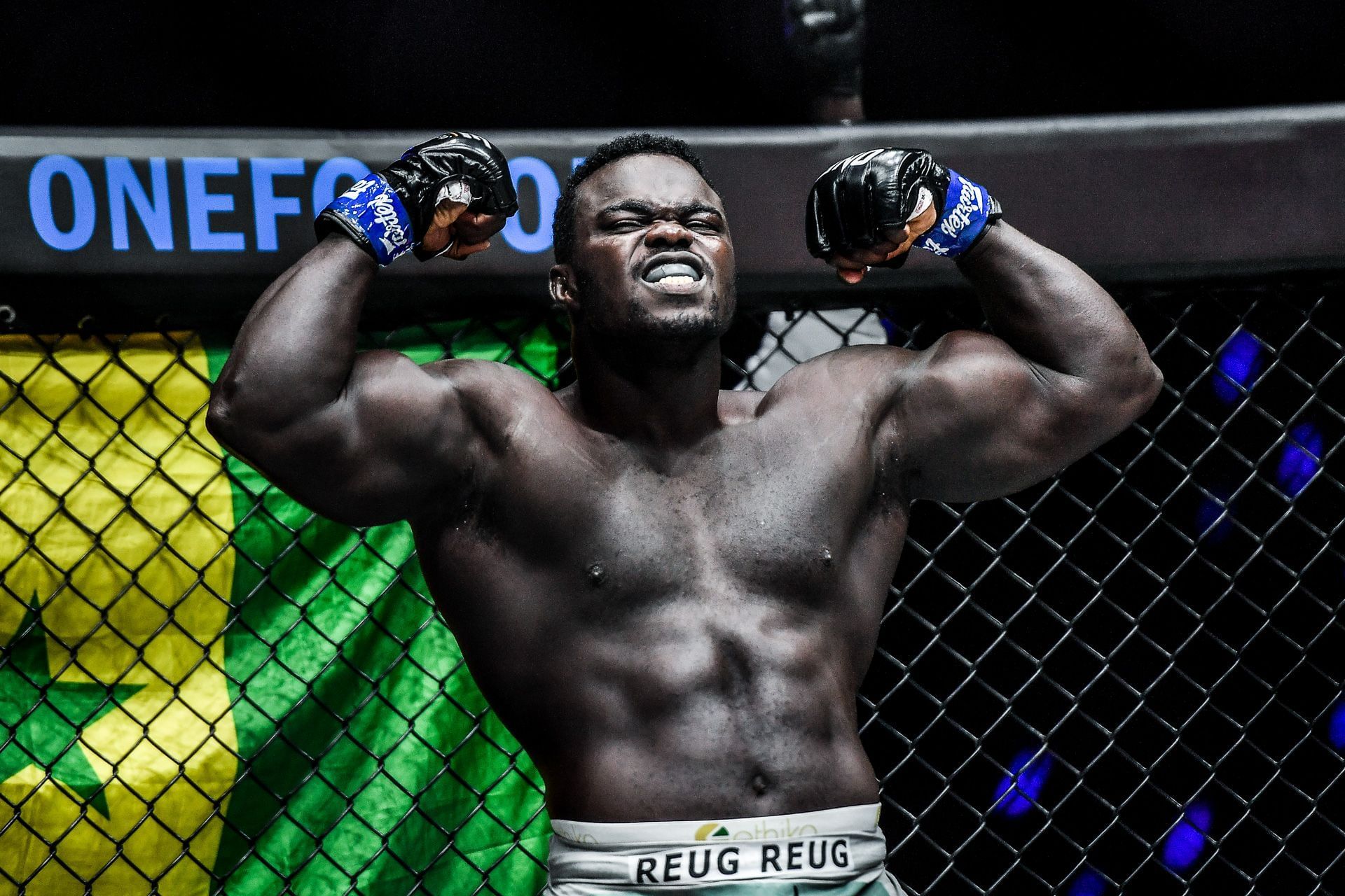 ONE heavyweight MMA world champion 